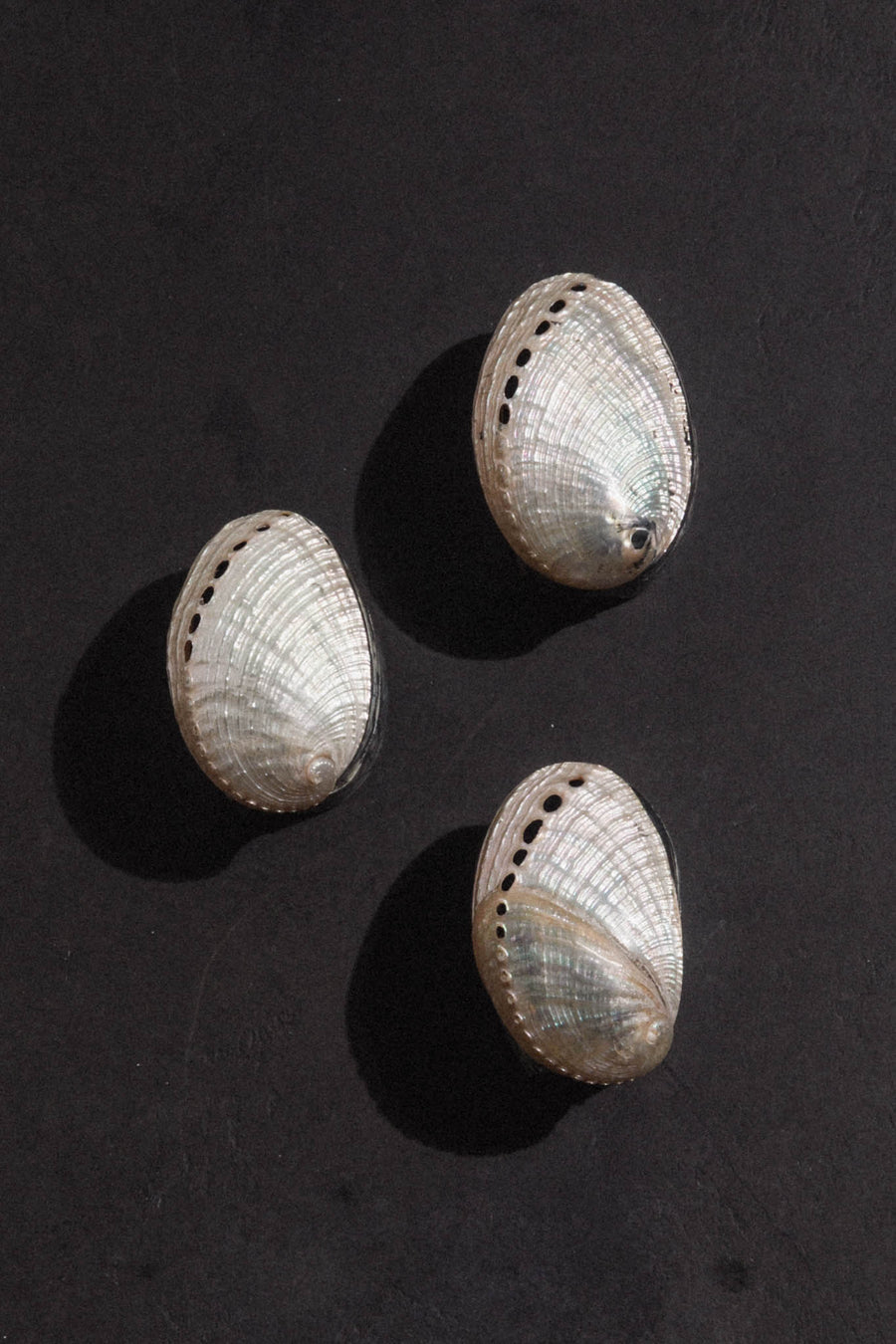 Blue Ocean Traders Objects Small / FINAL SALE Mother of Pearl Offerings Keepsake Box