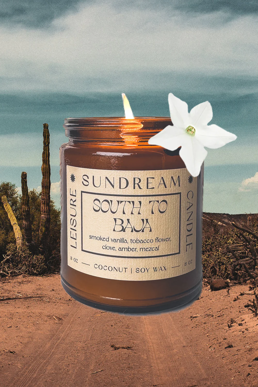 Sundream Co Objects 8 oz / South to Baja / FINAL SALE South the Baja Candle