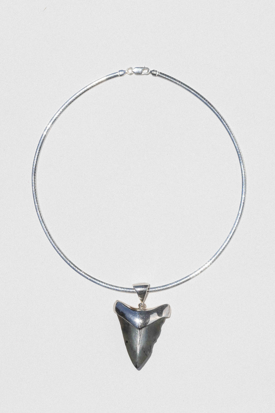 Starborn Creations Jewelry Silver / 16 inches Ancient Abyss Shark Tooth Necklace