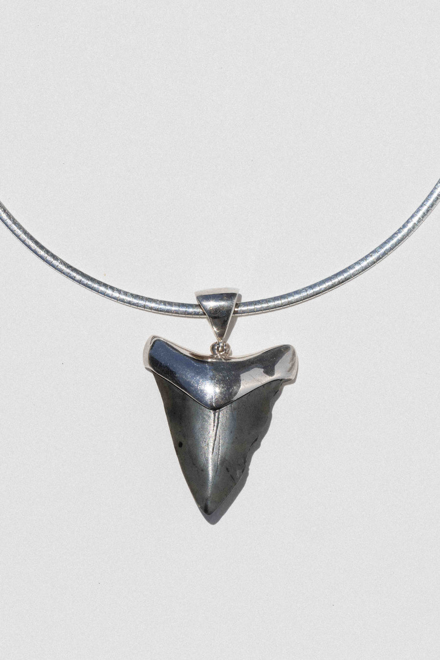 Starborn Creations Jewelry Silver / 16 inches Ancient Abyss Shark Tooth Necklace