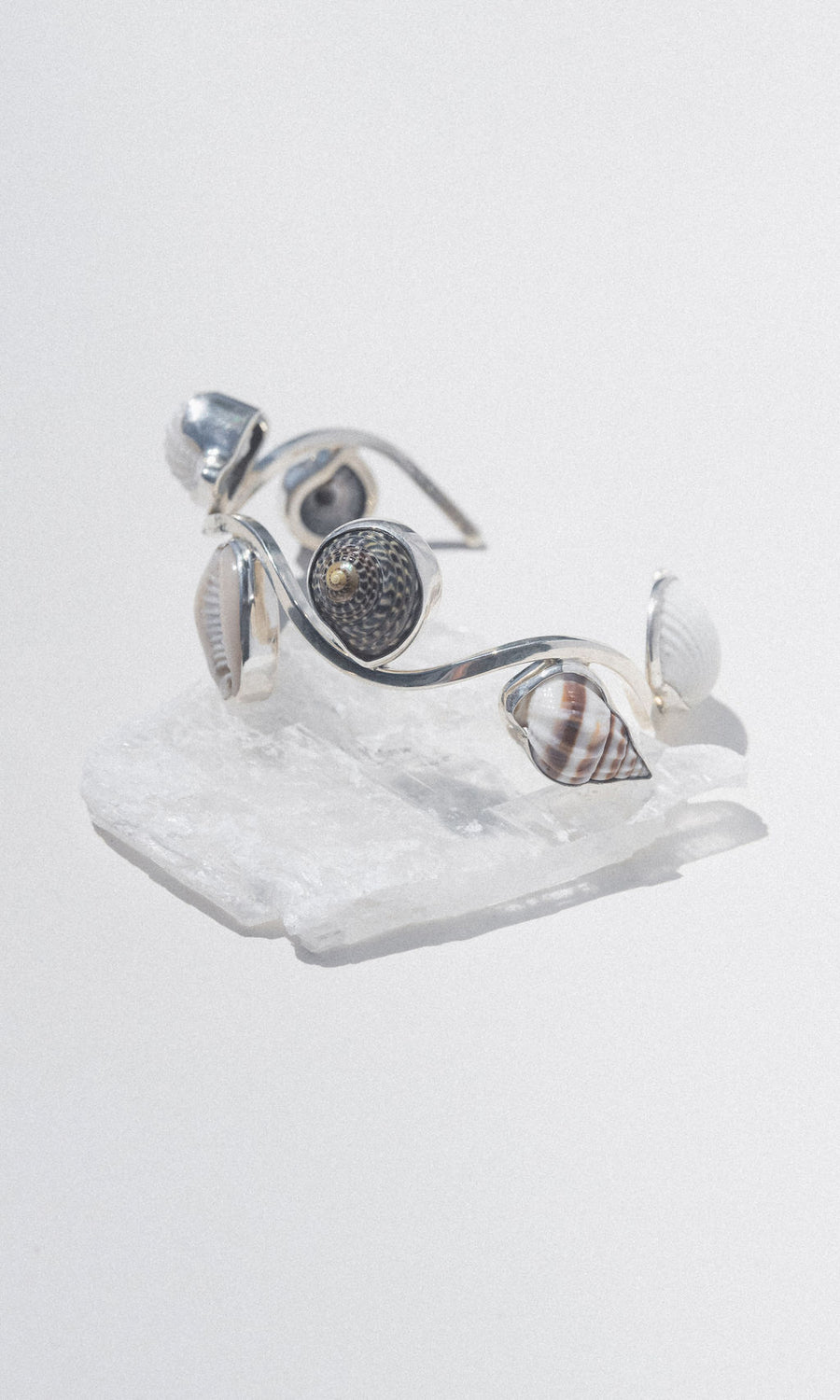 Charles Albert Inc Jewelry Silver Castaway Shell Cuff