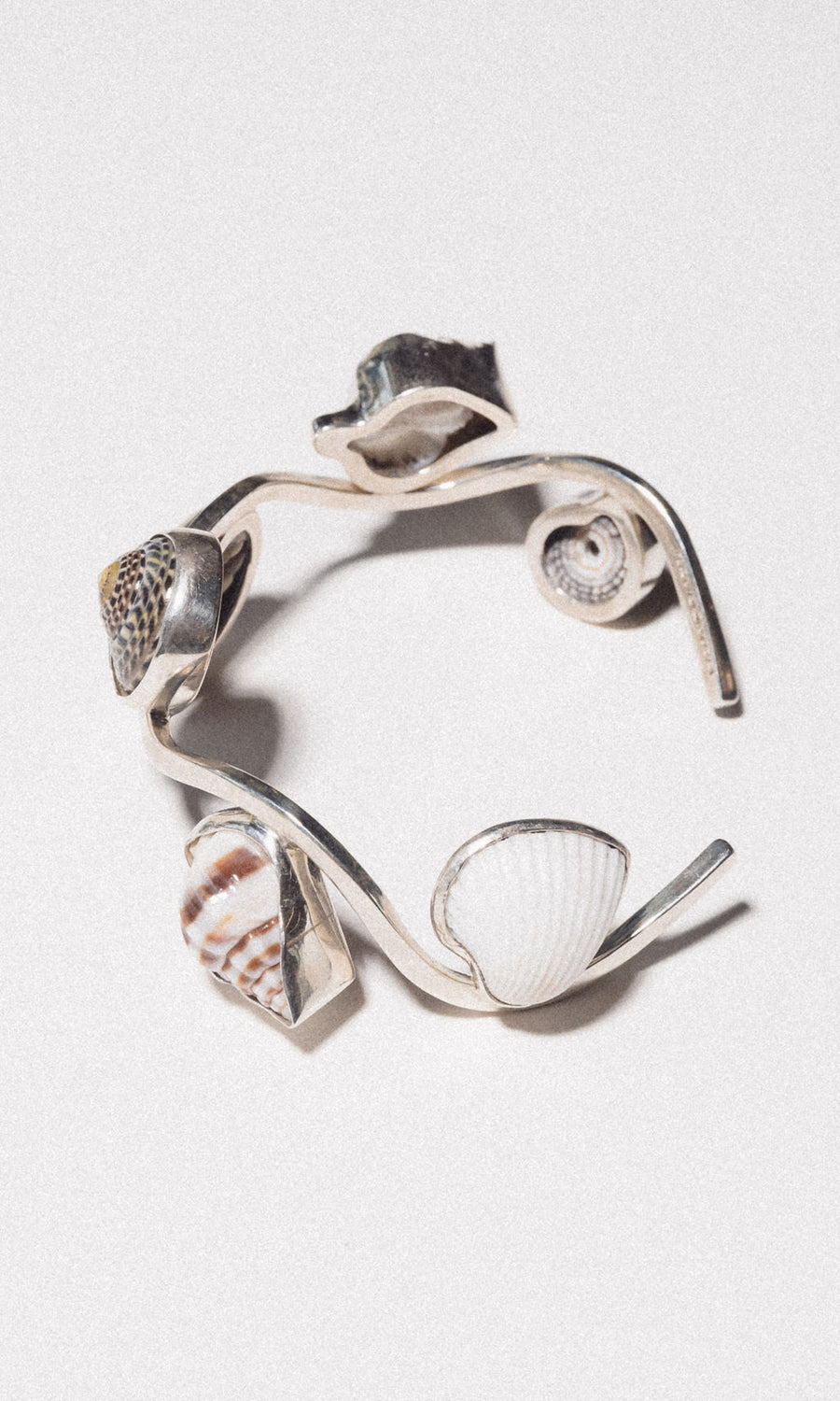 Charles Albert Inc Jewelry Silver Castaway Shell Cuff