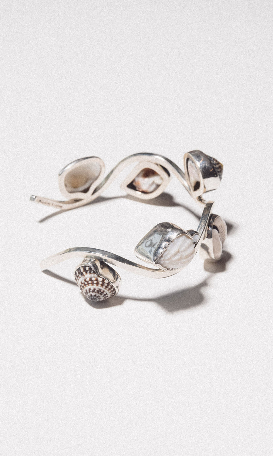 Charles Albert Inc Jewelry Silver Castaway Shell Cuff