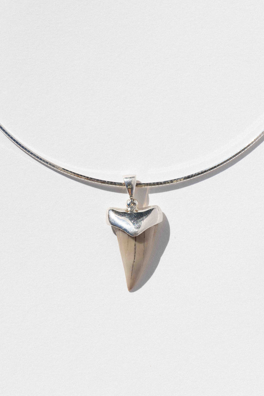 Starborn Creations Jewelry Silver / 16 inches Coastal Cove Shark Tooth Collar