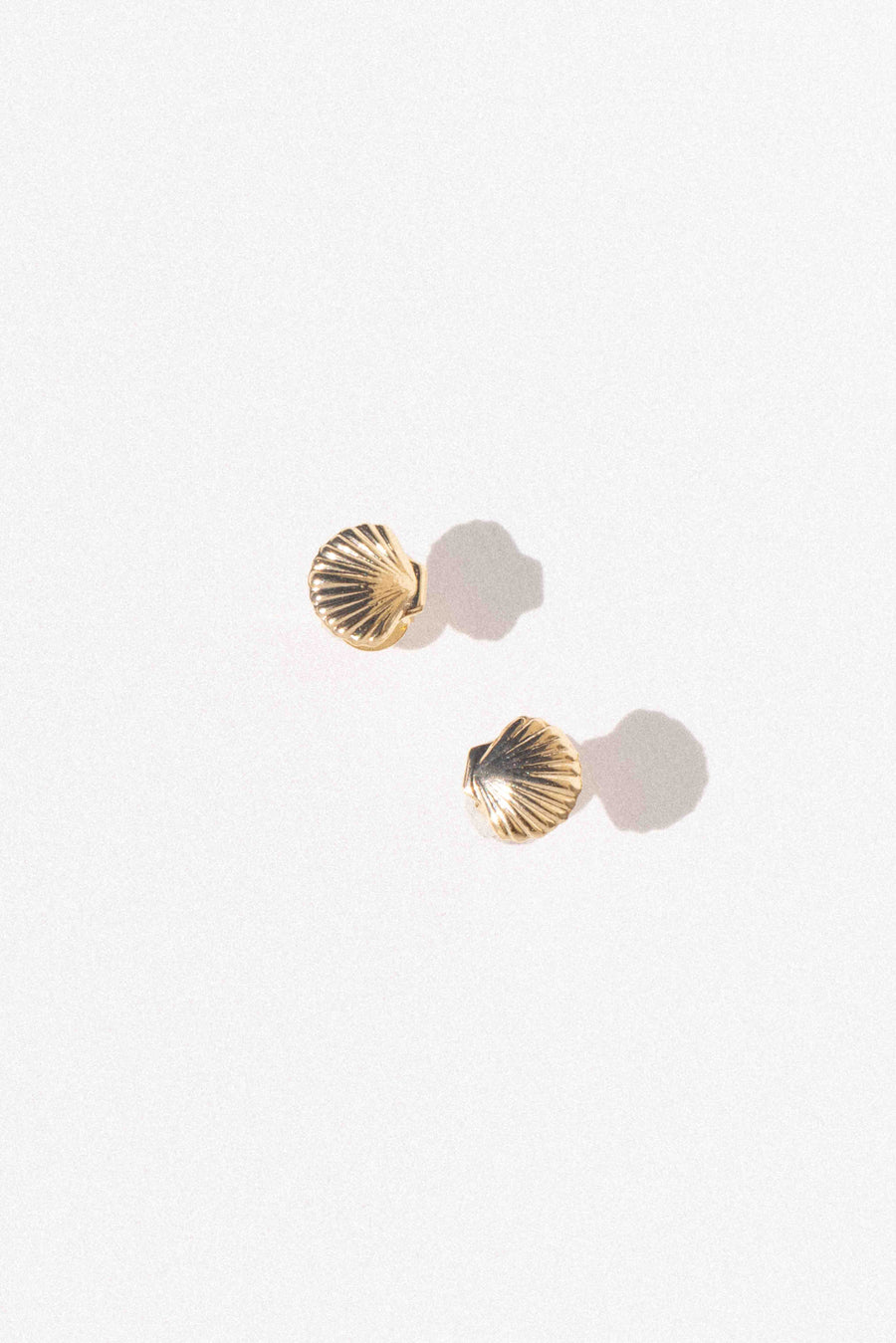 MIA Jewelry Jewelry Gold Cove Shell Earrings