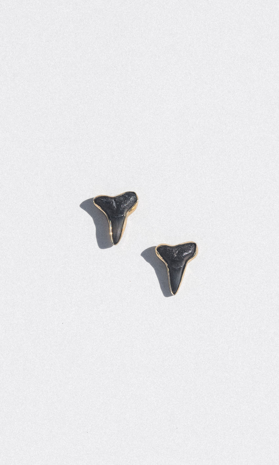 Charles Albert Inc Jewelry Gold Deepwater Fossil Shark Tooth Earrings