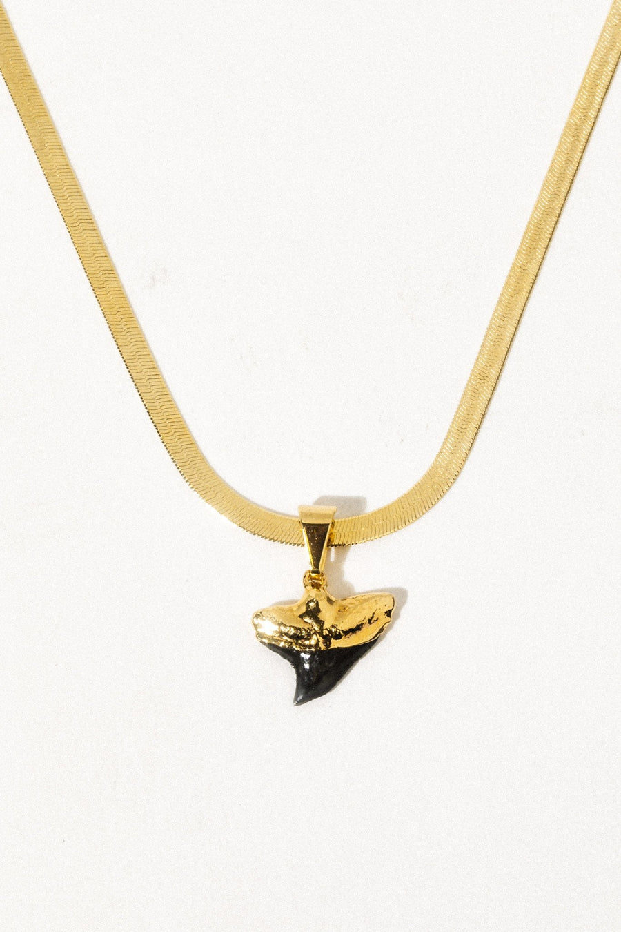 Dona Italia Jewelry Gold / 14 Inches Gold Coast Shark Tooth Necklace