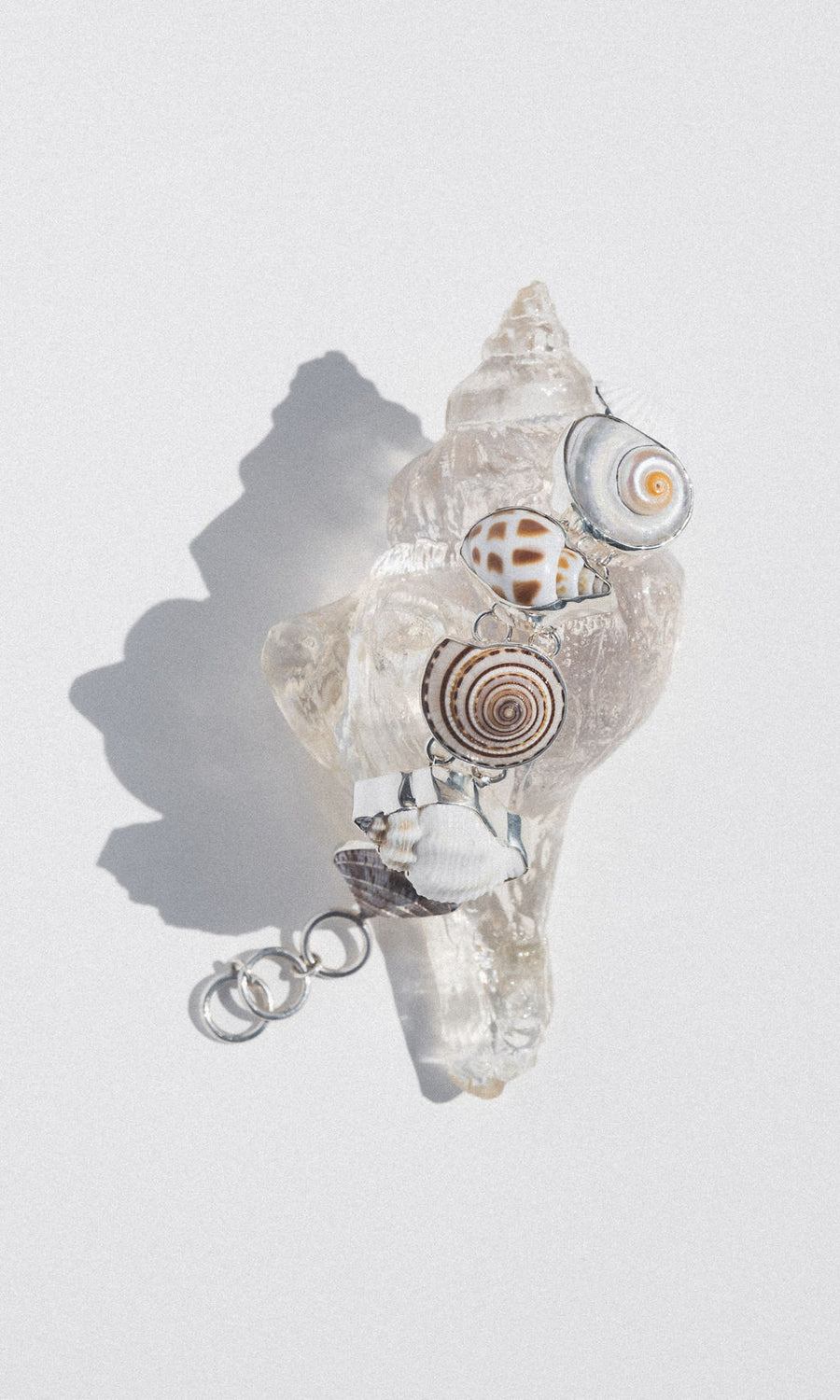 Charles Albert Inc Jewelry Silver Hidden Oasis Shell Bracelet