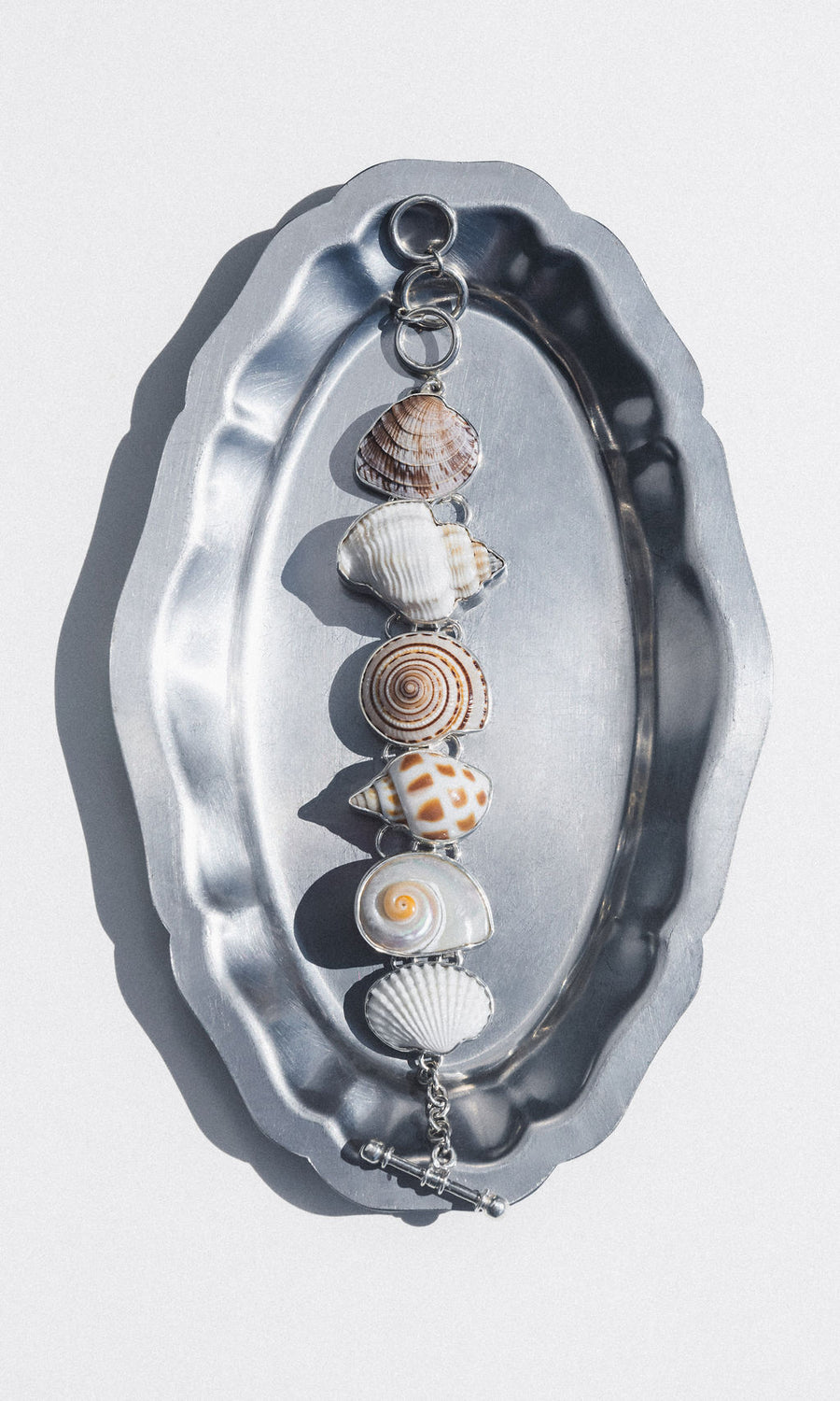Charles Albert Inc Jewelry Silver Hidden Oasis Shell Bracelet