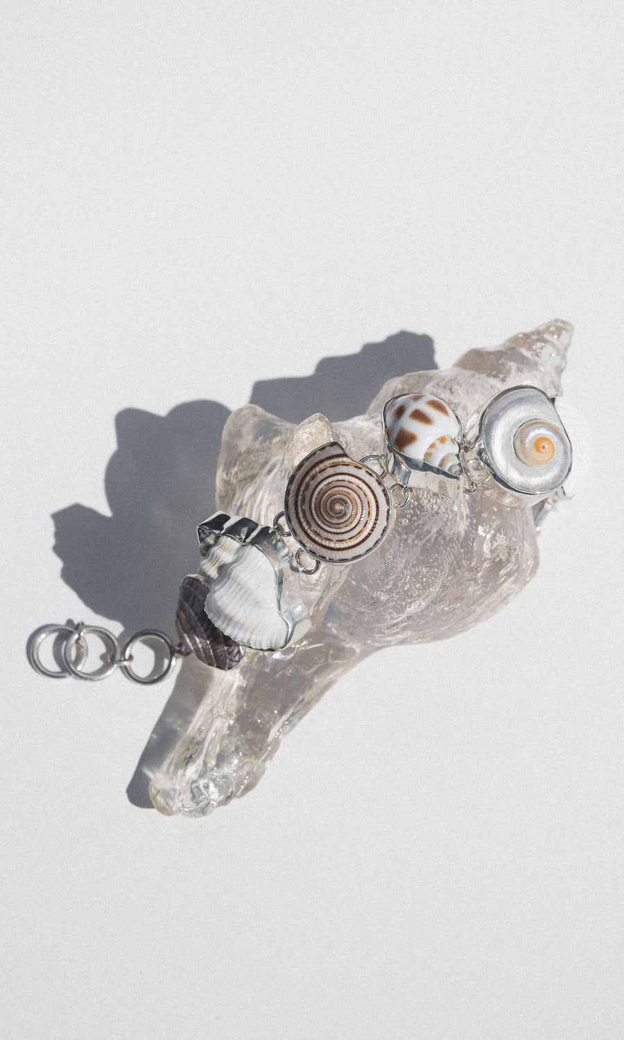 Charles Albert Inc Jewelry Silver Hidden Oasis Shell Bracelet