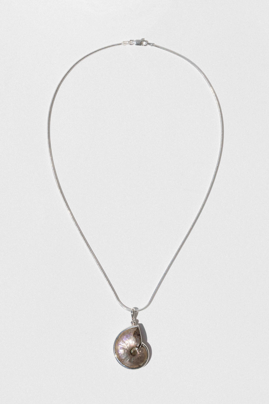 Starborn Creations Jewelry Silver / 18 inches Iridescent Isle Ammonite Necklace