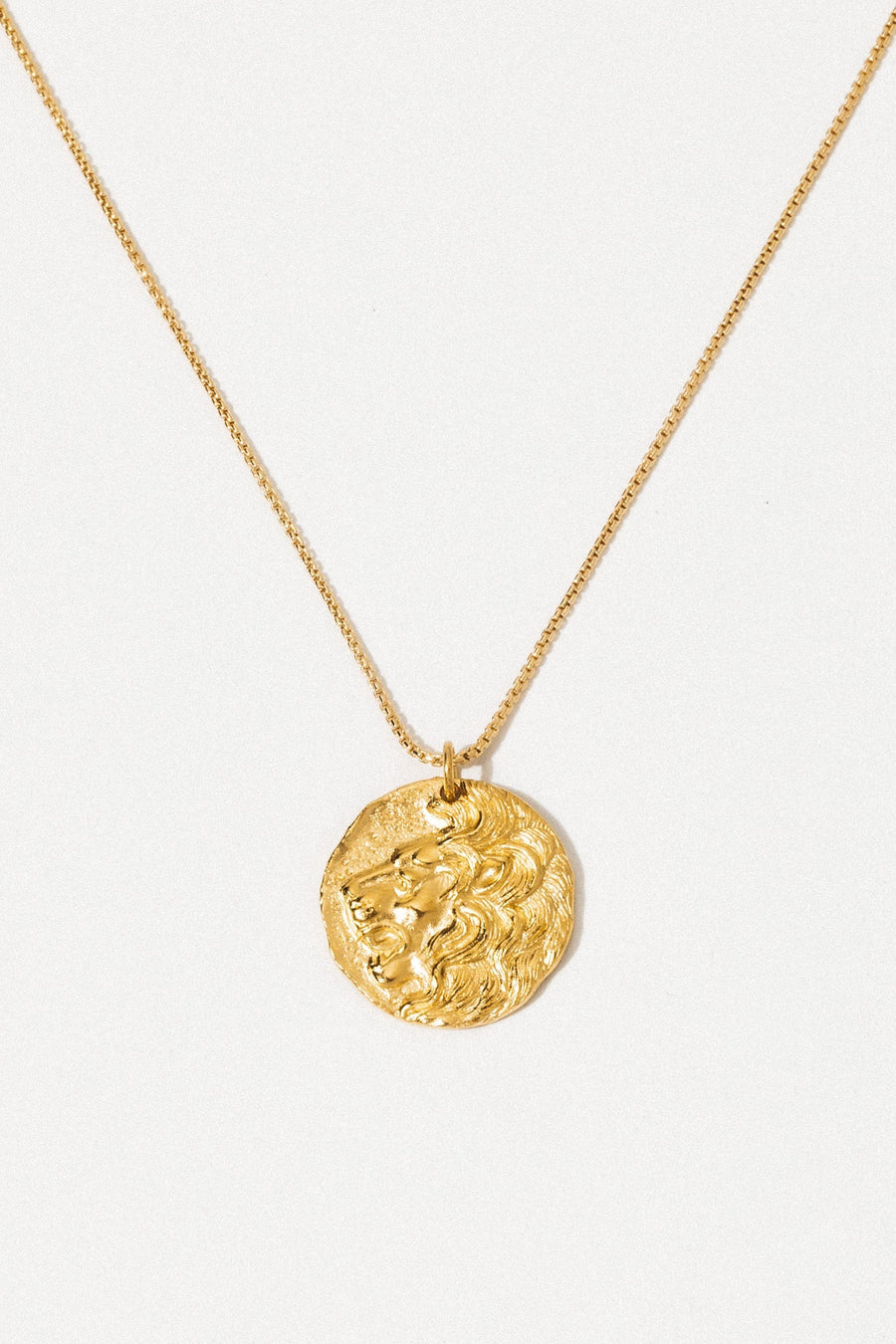 Nina Designs Jewelry Gold / 18 Inches León Coin Necklace