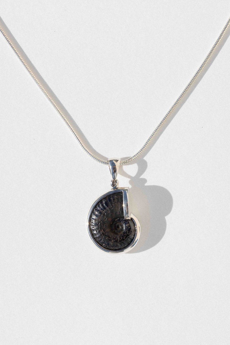 Starborn Creations Jewelry Silver / 18 inches Ocean Dweller Ammonite Necklace