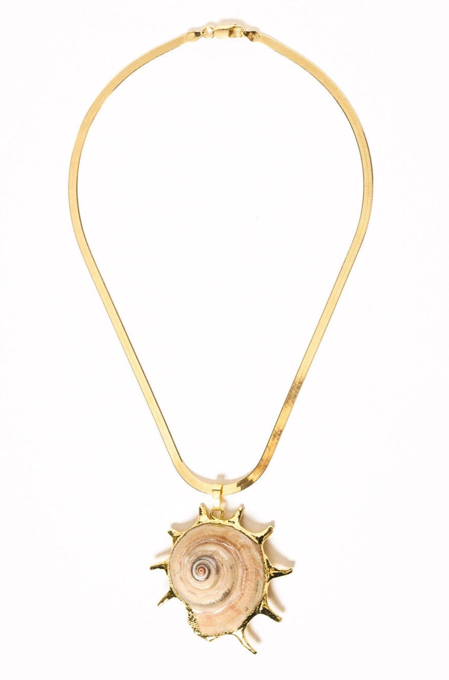 AliExpress Jewelry Gold / Shell Nautical Nirvana Shell Necklace