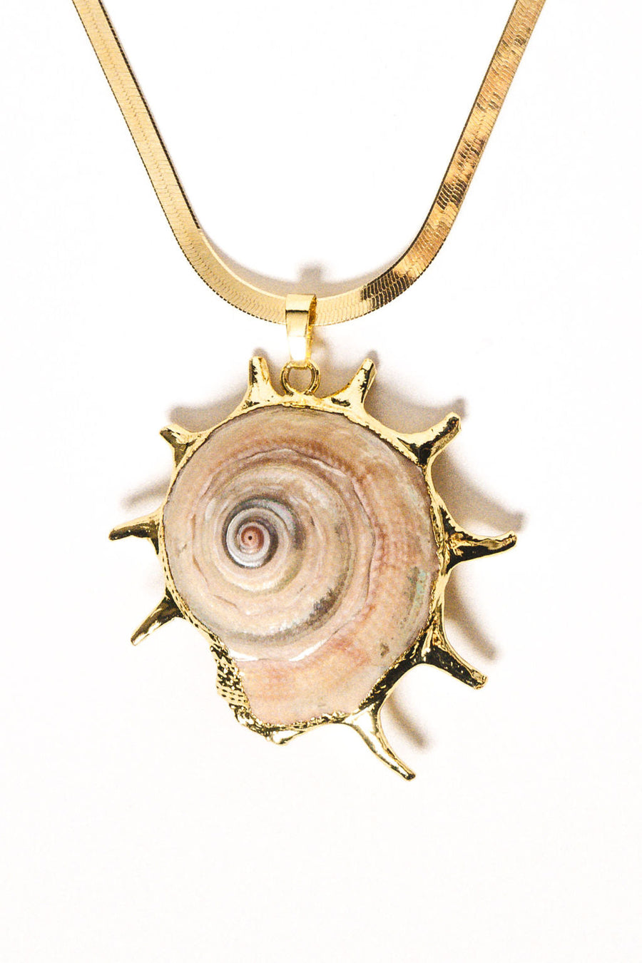 AliExpress Jewelry Gold / Shell Nautical Nirvana Shell Necklace