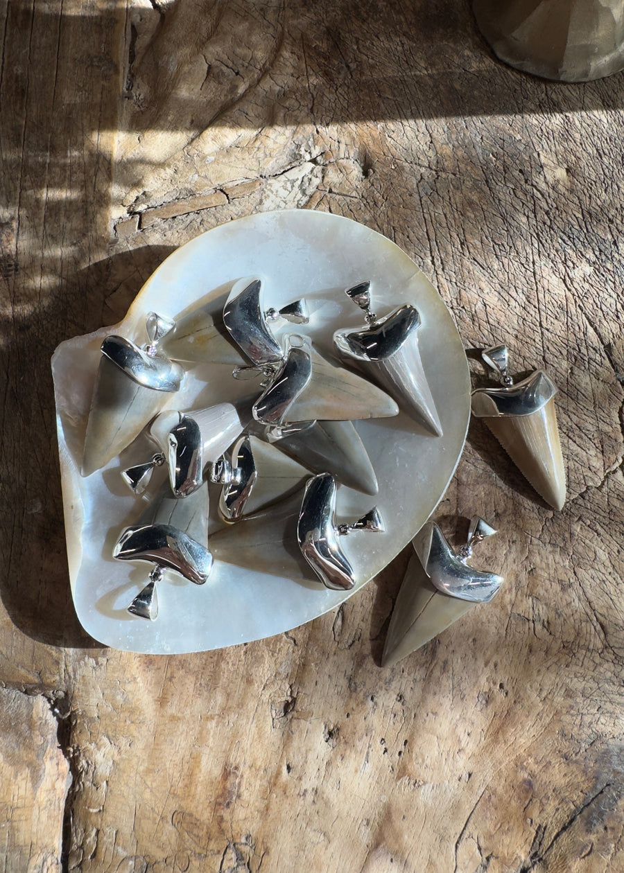 Starborn Creations Jewelry Silver / 18 inches Saltline Shark Tooth Necklace