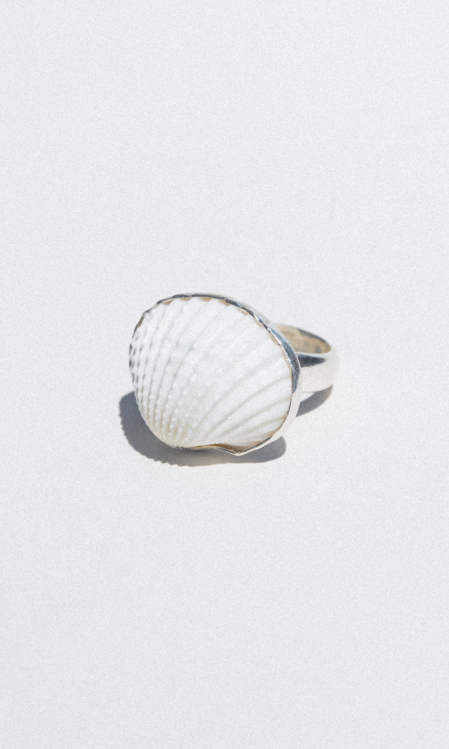 Charles Albert Inc Jewelry Silver / Open Shoreline Ark Shell Ring