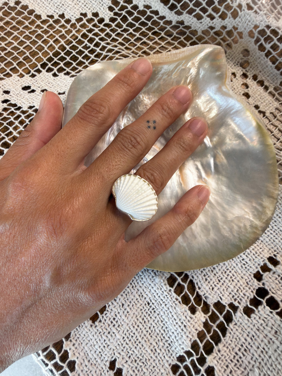 Charles Albert Inc Jewelry Silver / Open Shoreline Ark Shell Ring
