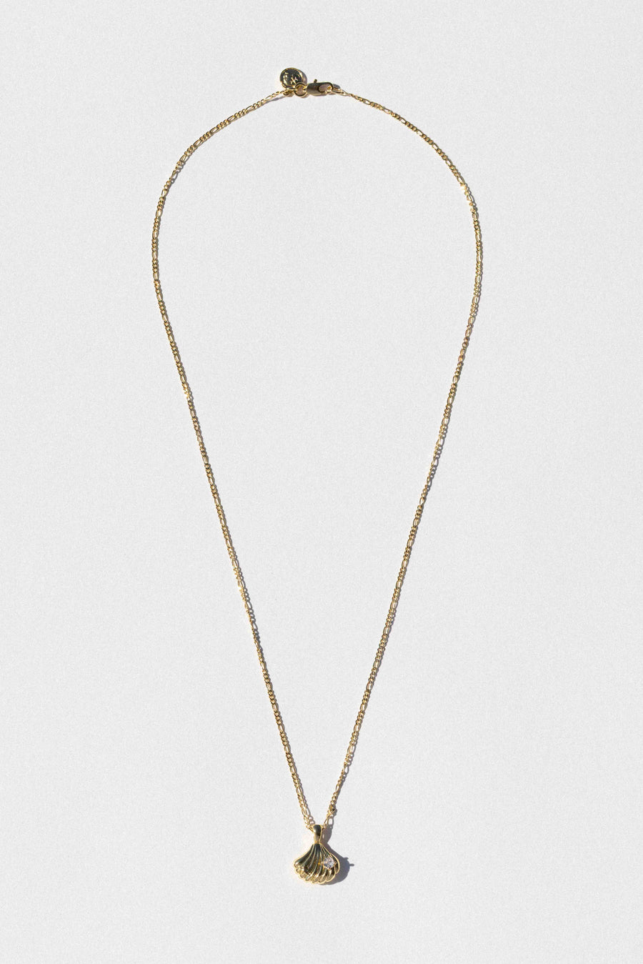Child of Wild Jewelry Gold / 20 Inches Stonesteps Shell Necklace