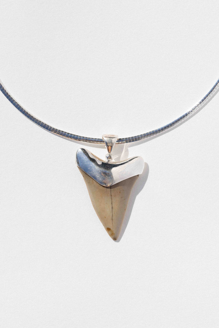 Starborn Creations Jewelry Silver / 16 inches Tidefall Shark Tooth Collar
