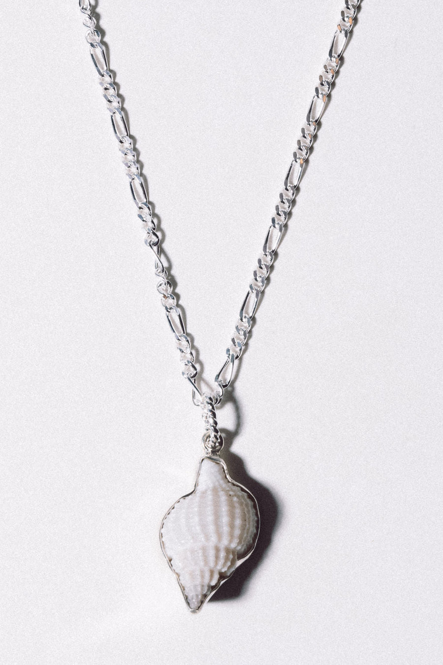Charles Albert Inc Jewelry Silver / 22+ inches Tideworn Nassa Shell Necklace