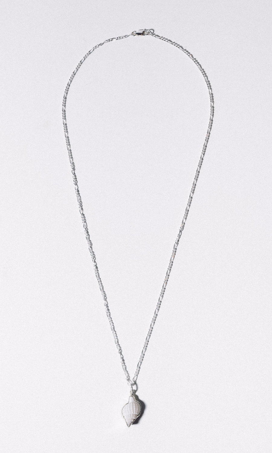 Charles Albert Inc Jewelry Silver / 22+ inches Tideworn Nassa Shell Necklace