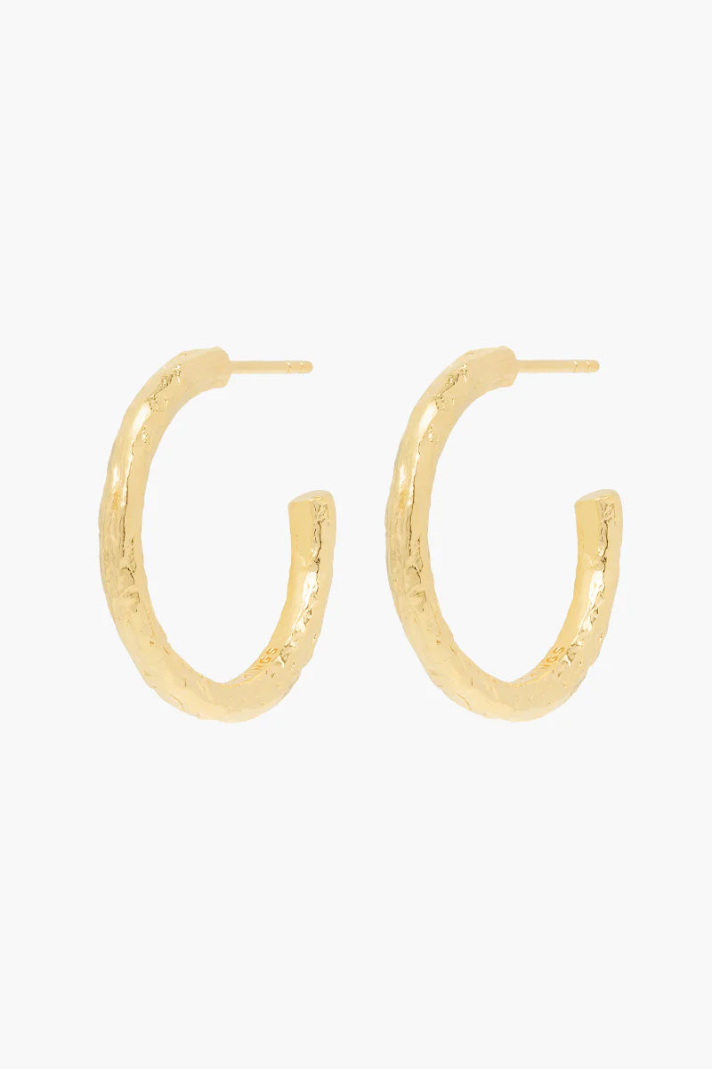 Wildthings Collectables Jewelry Gold / Medium Wanderlust Hammered Hoop Earrings .:. Gold