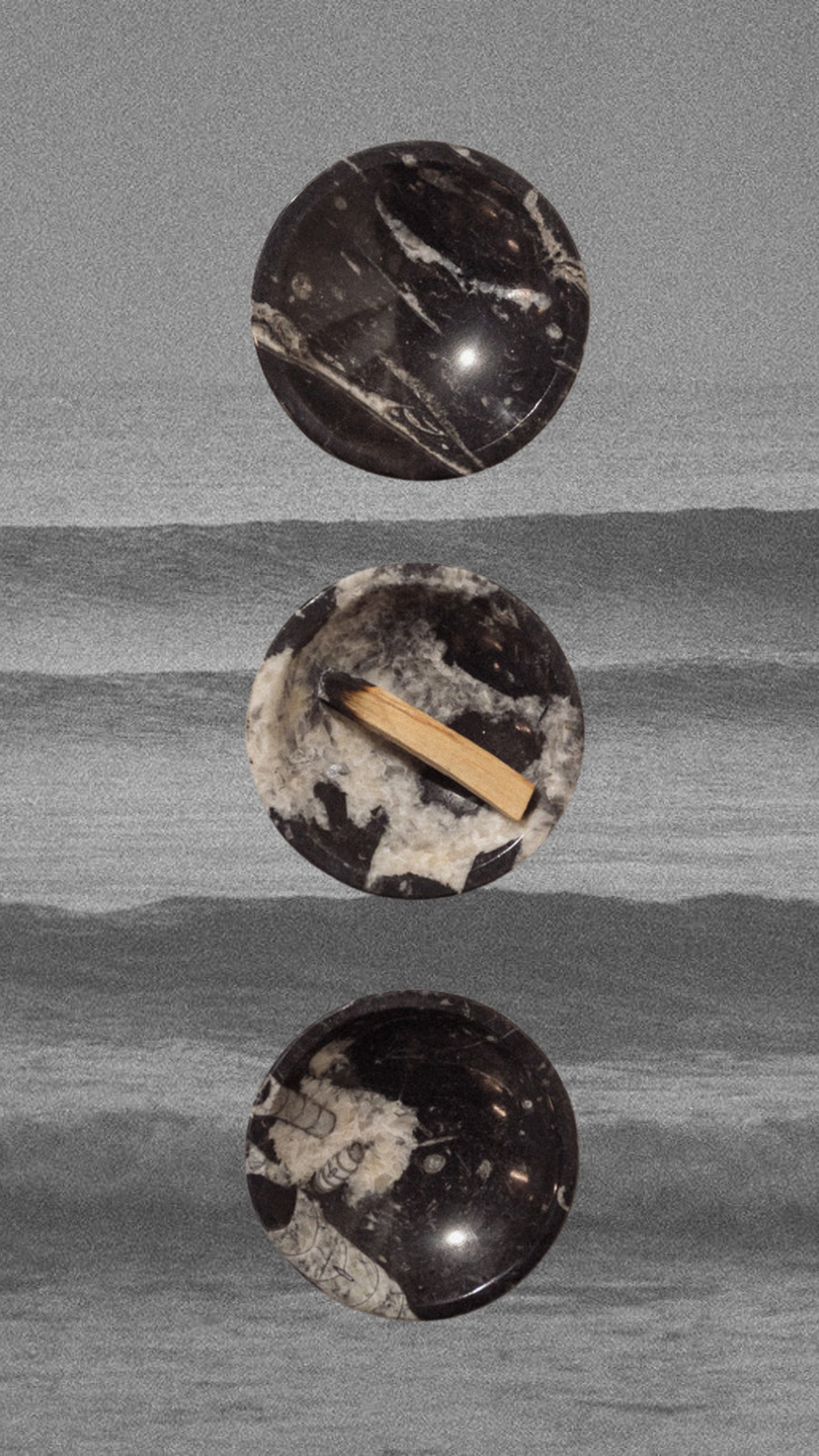 Moroccan Fossils, Inc Objects Black Onyx / FINAL SALE Gaia Ammonite Fossil Dish