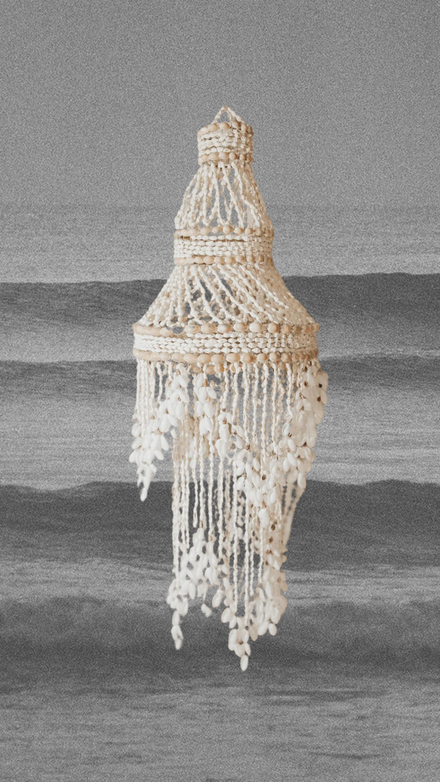 Atlantic Coral Enterprise Objects Seashell / FINAL SALE Mariarosa Seashell Chandelier