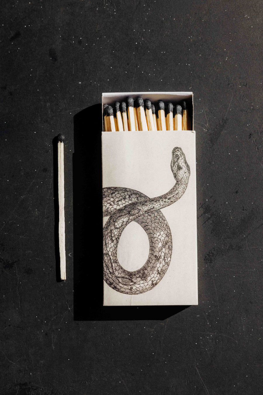 HomArt Objects Beige Matchbox - Snake