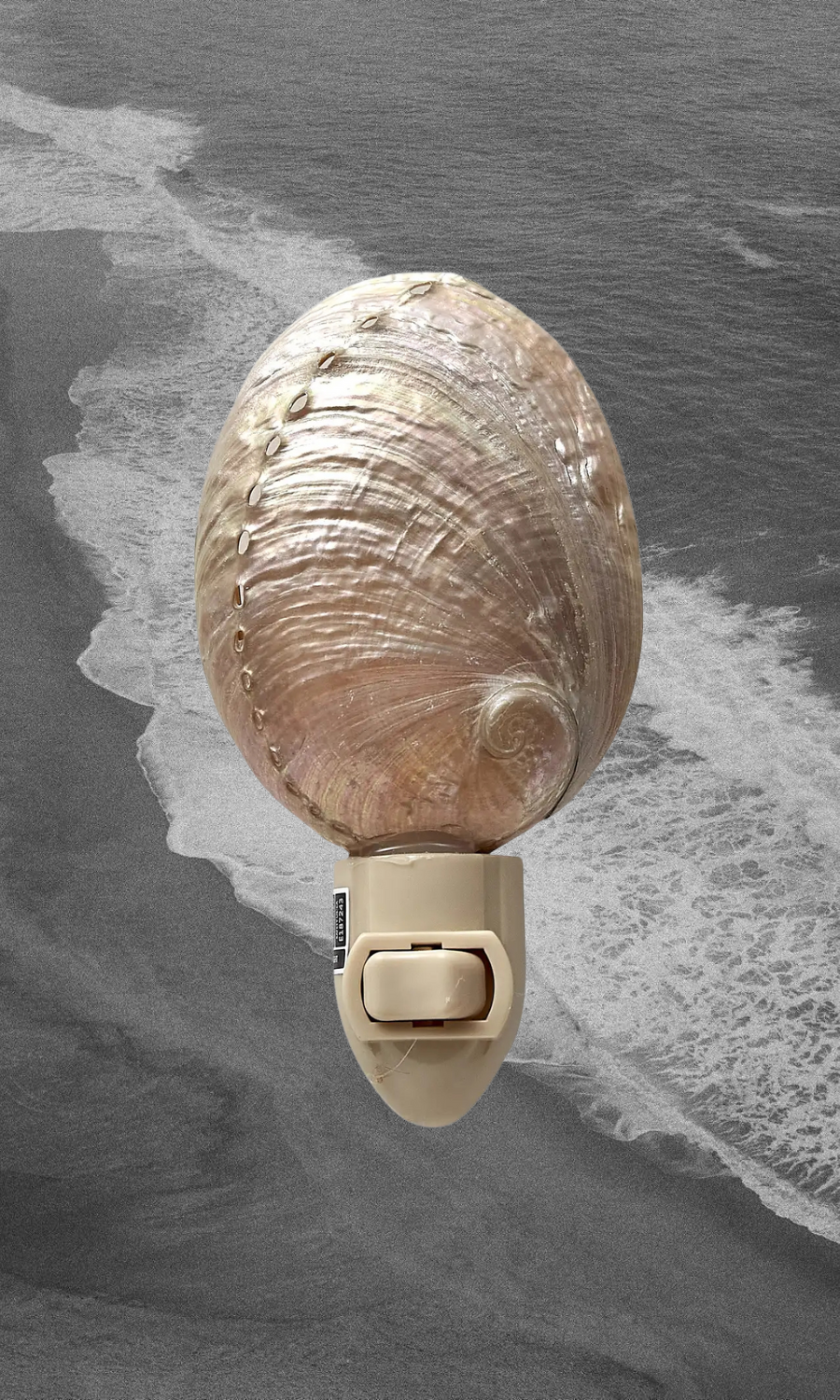 HS Seashells Objects Pearled Abalone Night Light