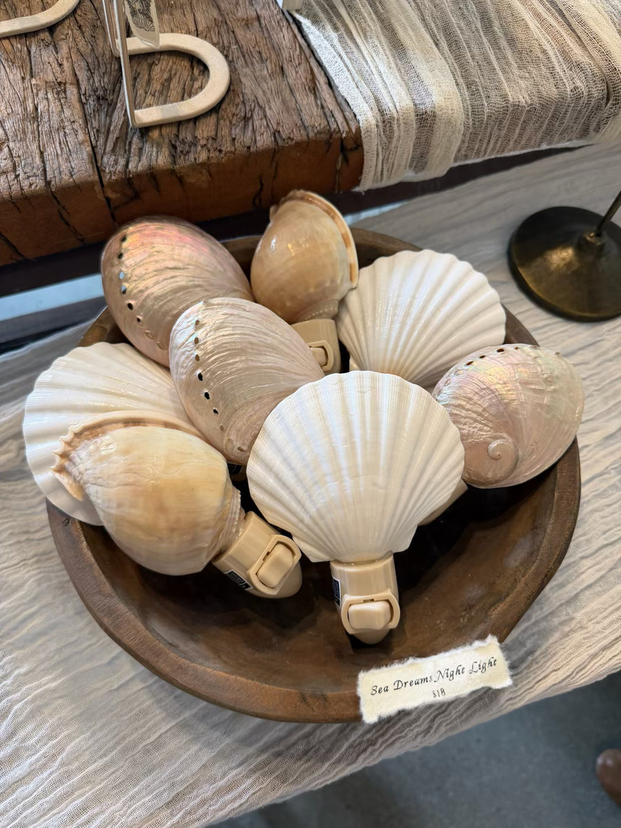 HS Seashells Objects Abalone / FINAL SALE Pearled Abalone Night Light - PREORDER