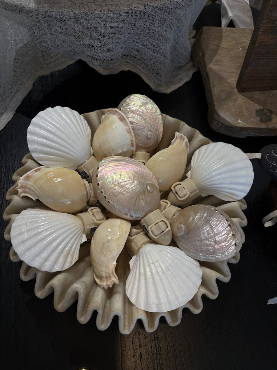 HS Seashells Objects Abalone / FINAL SALE Pearled Abalone Night Light - PREORDER