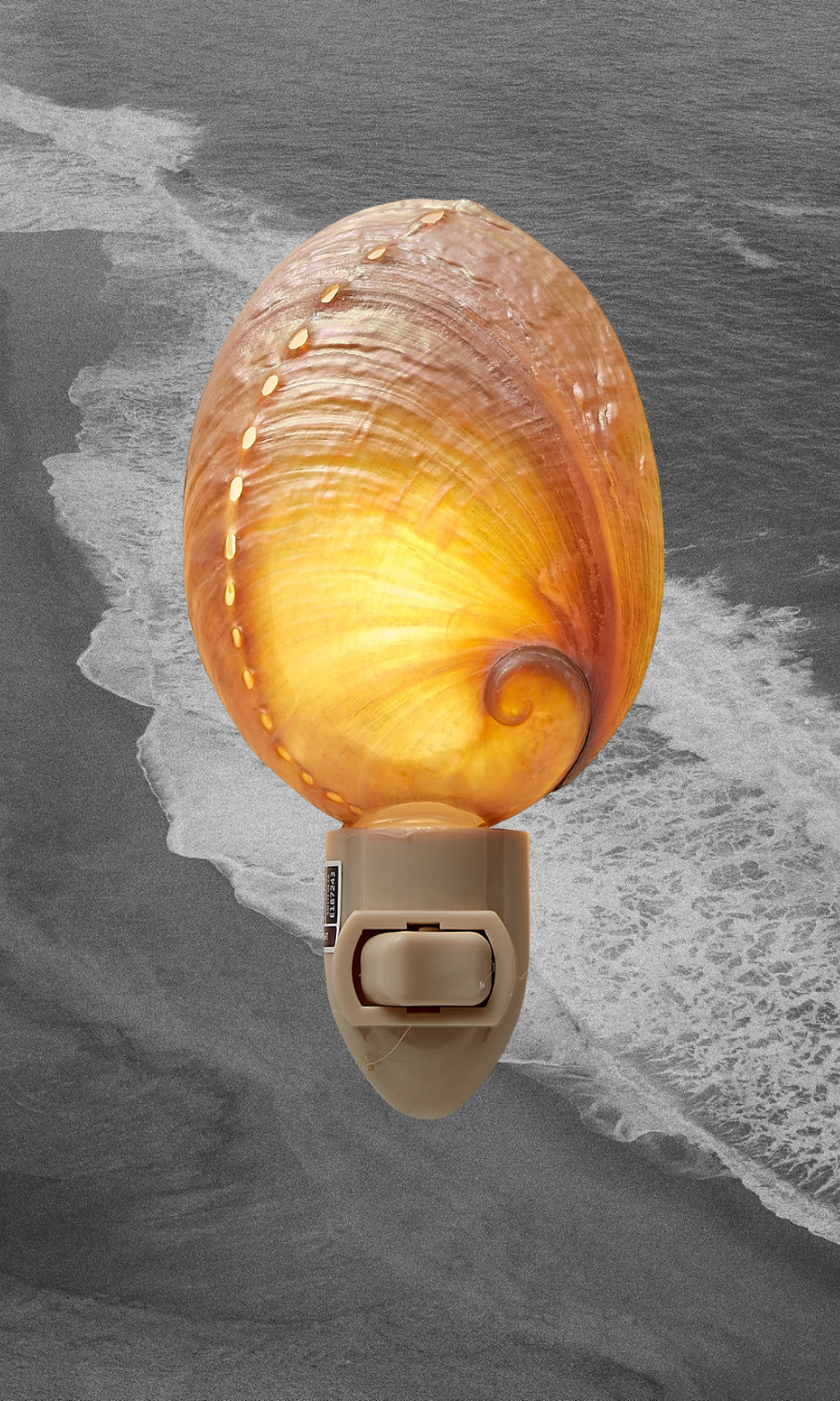 HS Seashells Objects Abalone / FINAL SALE Pearled Abalone Night Light - PREORDER