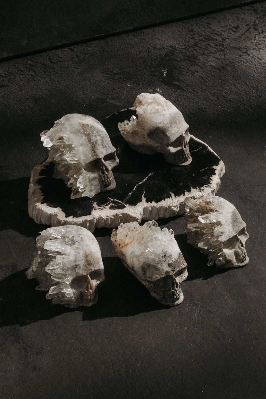 Alibaba Objects Grey / FINAL SALE Resurrection Skull Geodes