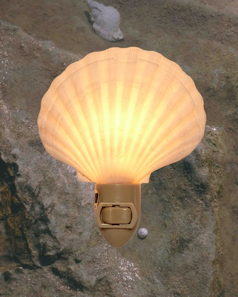 HS Seashells Objects Scallop / FINAL SALE Sea Dreams Night Light