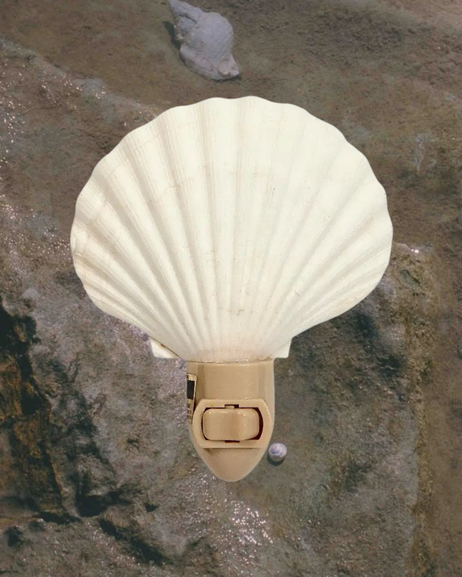 HS Seashells Objects Scallop / FINAL SALE Sea Dreams Night Light