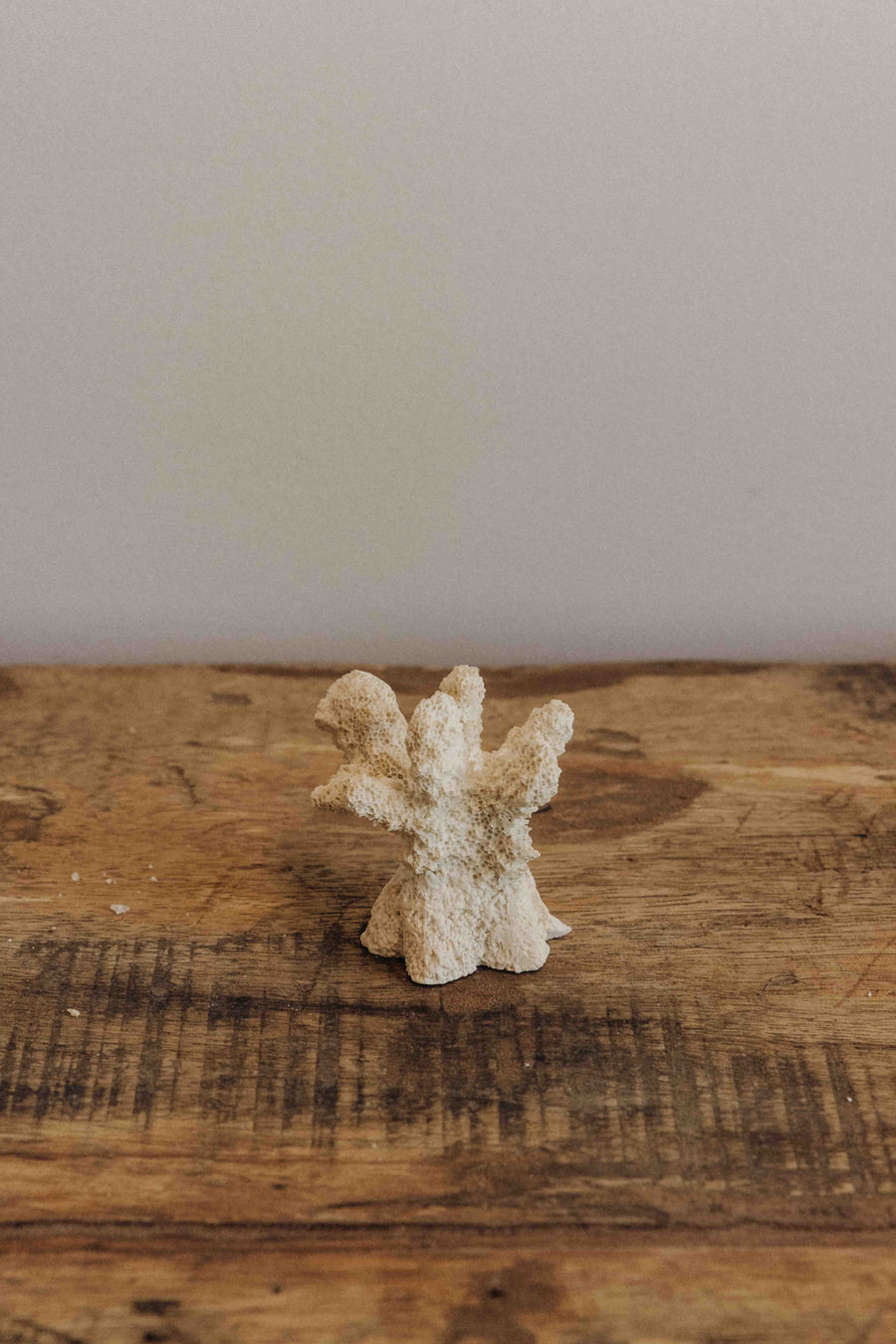 Creative Co-Op Objects White / FINAL SALE Shoreline Coral Card Holder Set