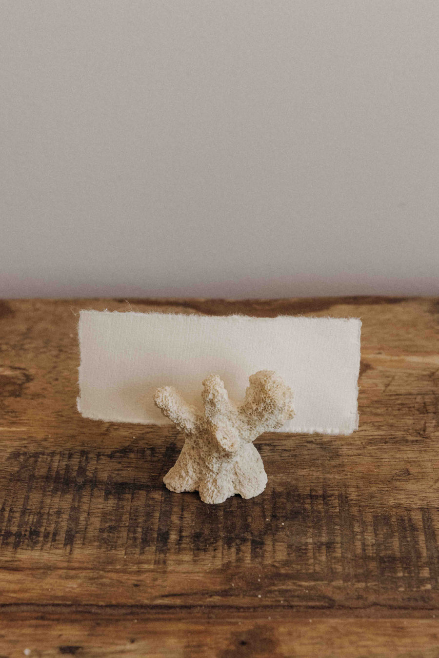 Creative Co-Op Objects White / FINAL SALE Shoreline Coral Card Holder Set