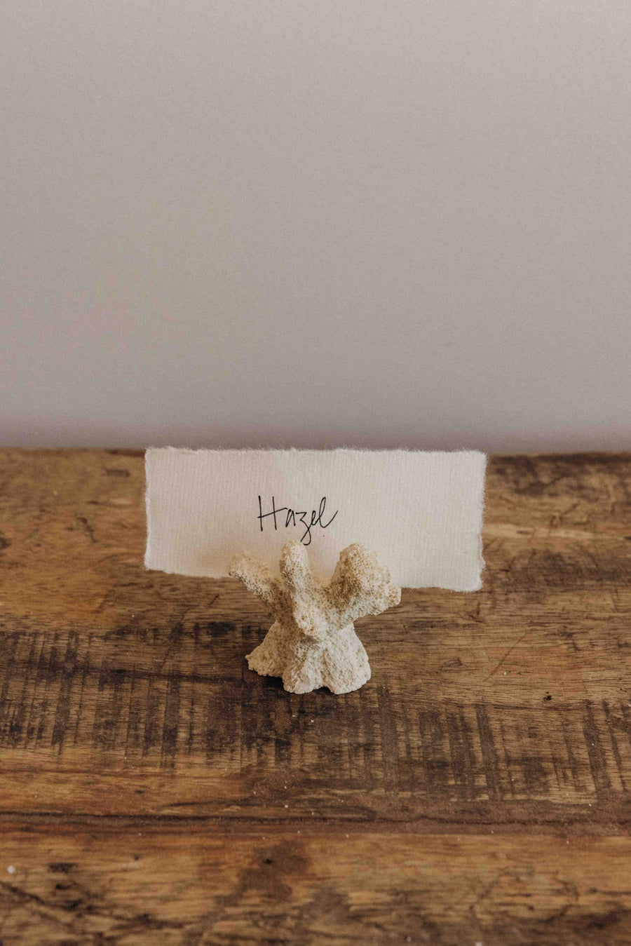 Creative Co-Op Objects White / FINAL SALE Shoreline Coral Card Holder Set