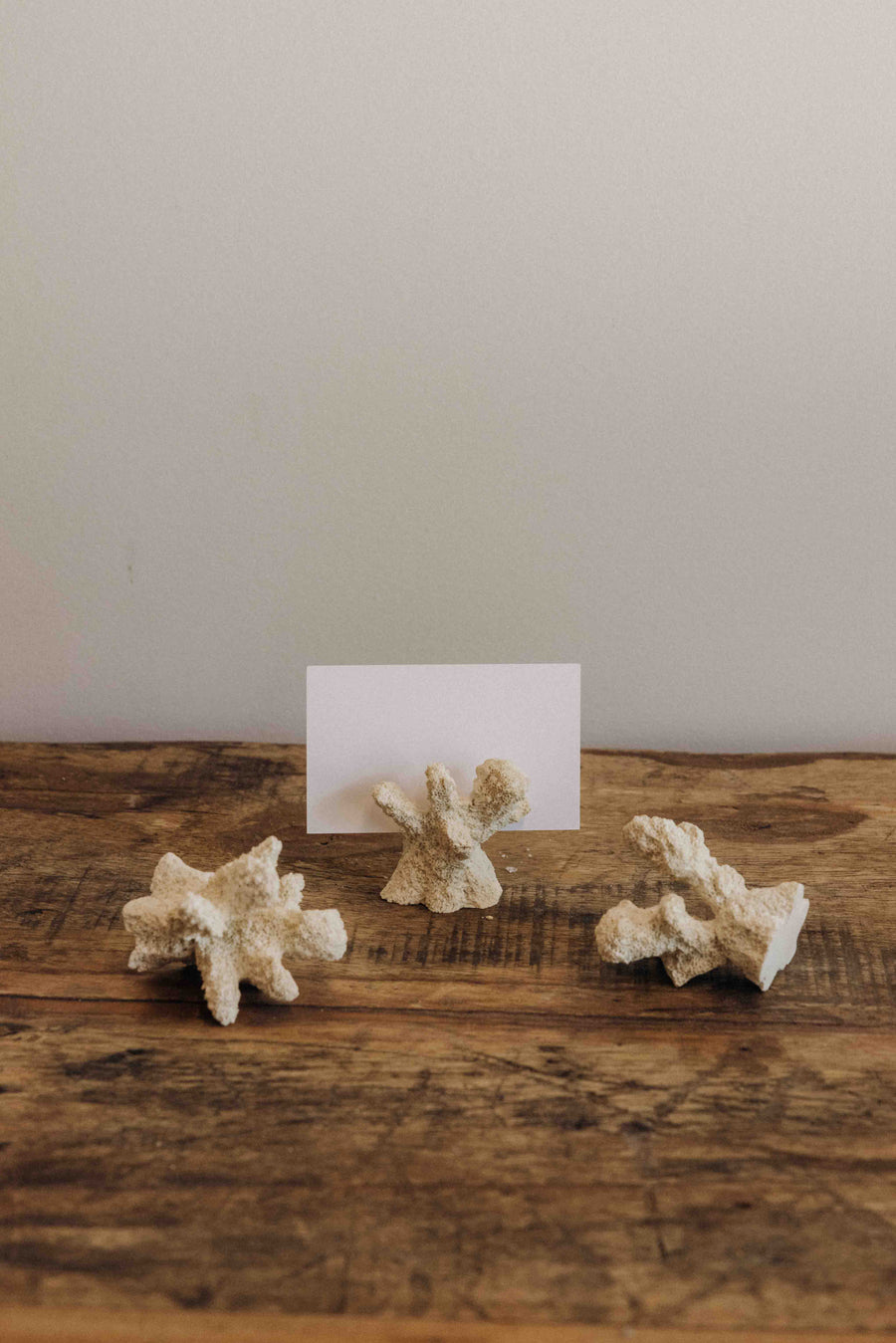Creative Co-Op Objects White / FINAL SALE Shoreline Coral Card Holder Set