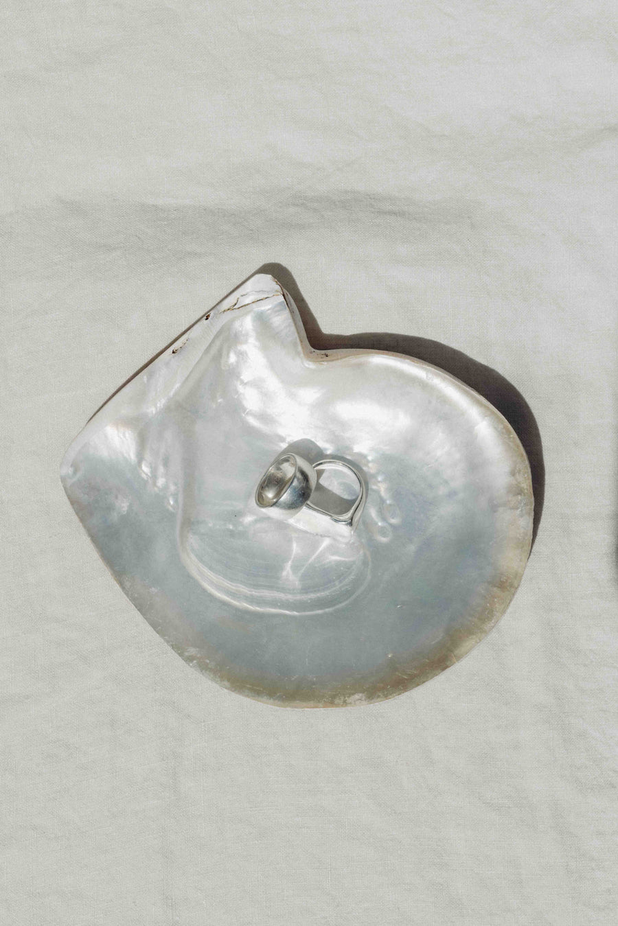 HS Seashells Objects Pearl / FINAL SALE Silverlip Pearl Oyster Dish