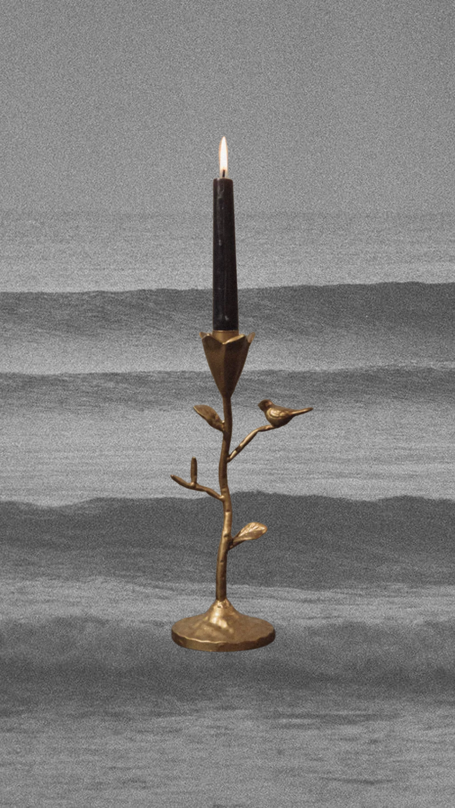 Creative Co-Op Objects Song Bird Metal Candelabra