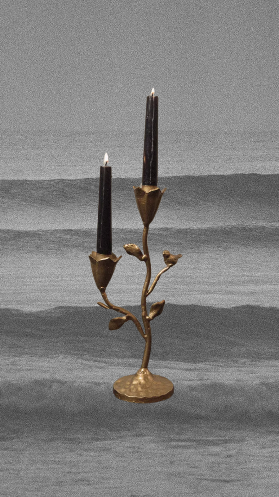 Creative Co-Op Objects Song Bird Metal Candelabra