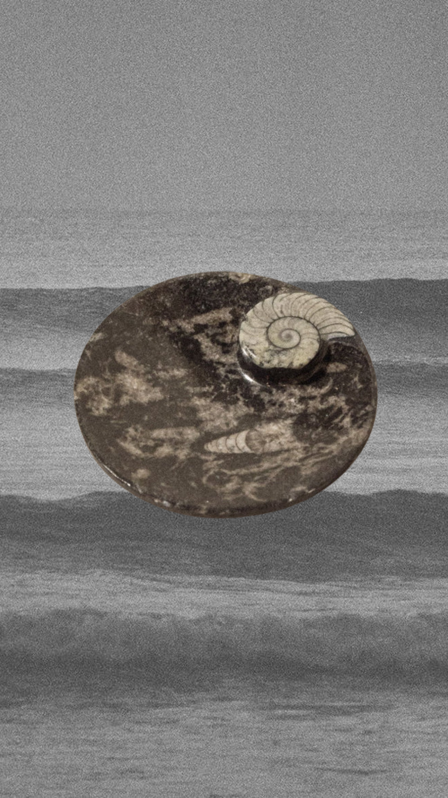 Moroccan Fossils, Inc Objects Banded Onyx / FINAL SALE Spiral Ammonite Fossil Dish