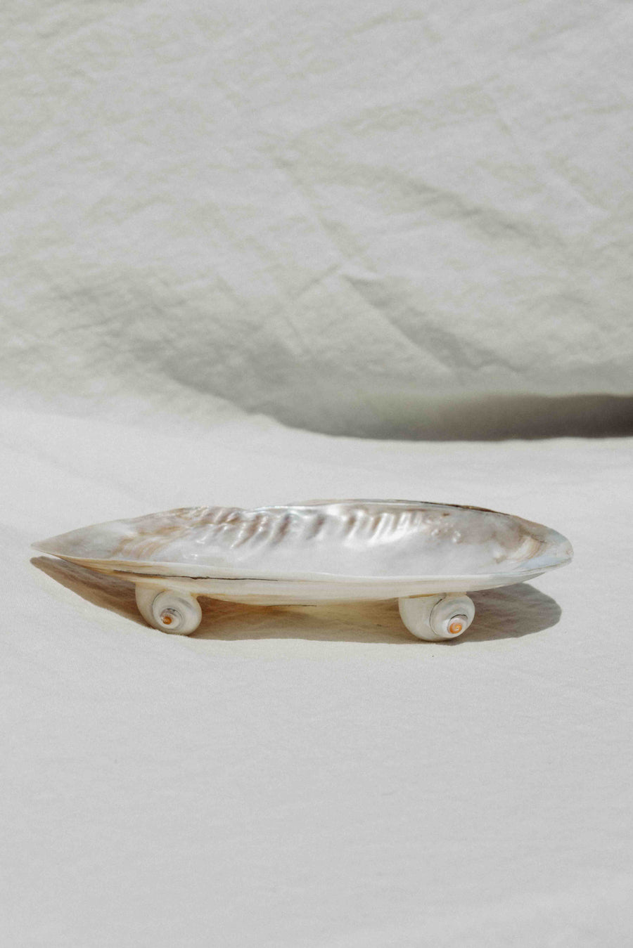 HS Seashells Objects Pearled Clam / FINAL SALE Tidepool Pearled Clam Plate