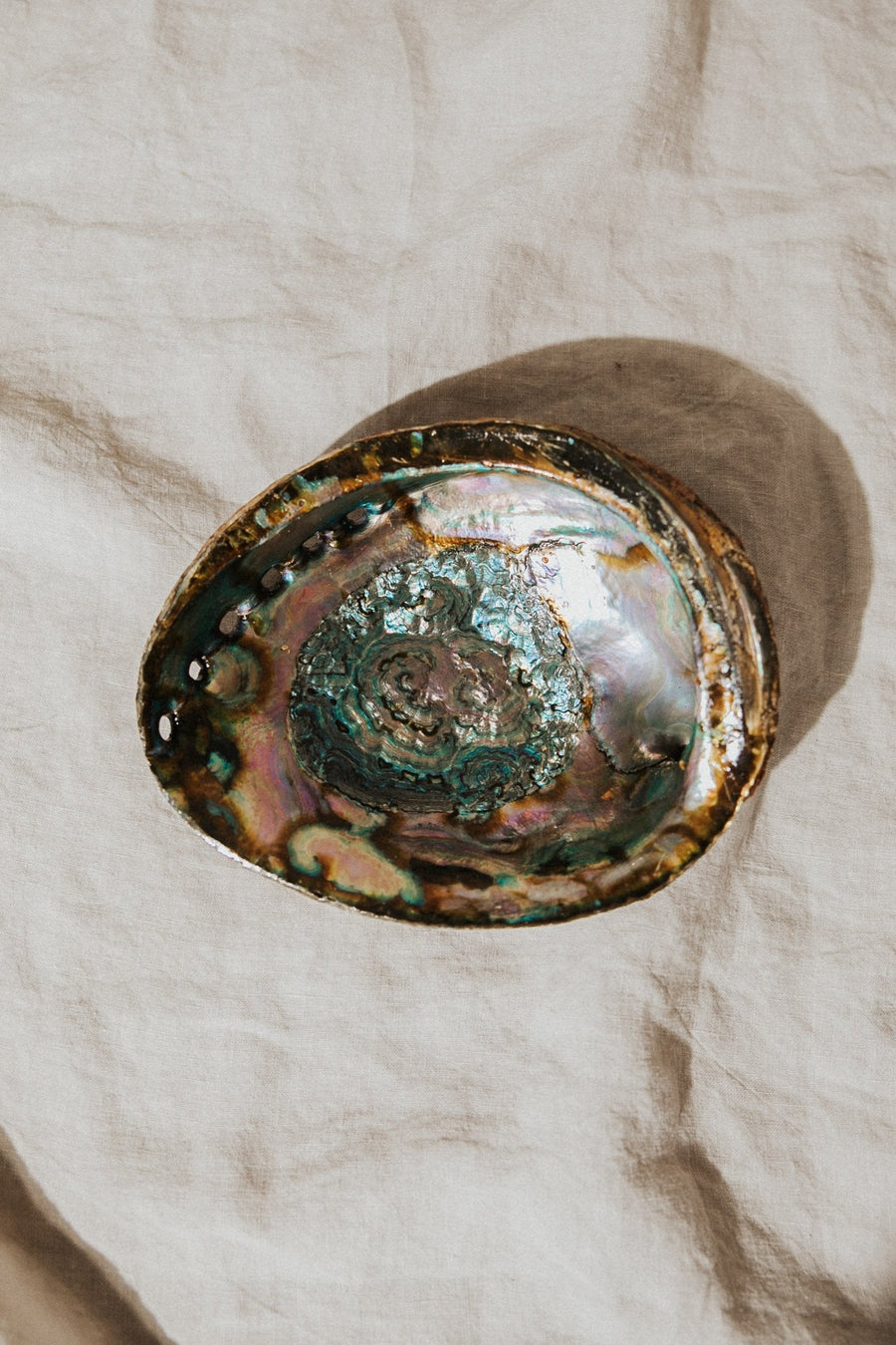 om imports Objects Abalone / Large / FINAL SALE Treasured Things Abalone Offering Bowl