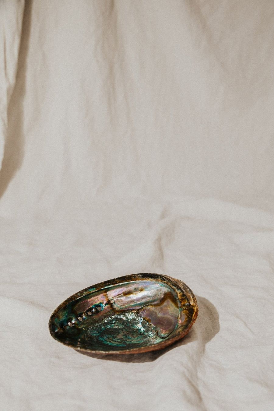 om imports Objects Treasured Things Abalone Offering Bowl