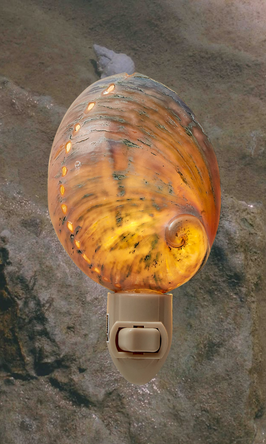 HS Seashells Blue / FINAL SALE Polished Greenlip Abalone Night Light