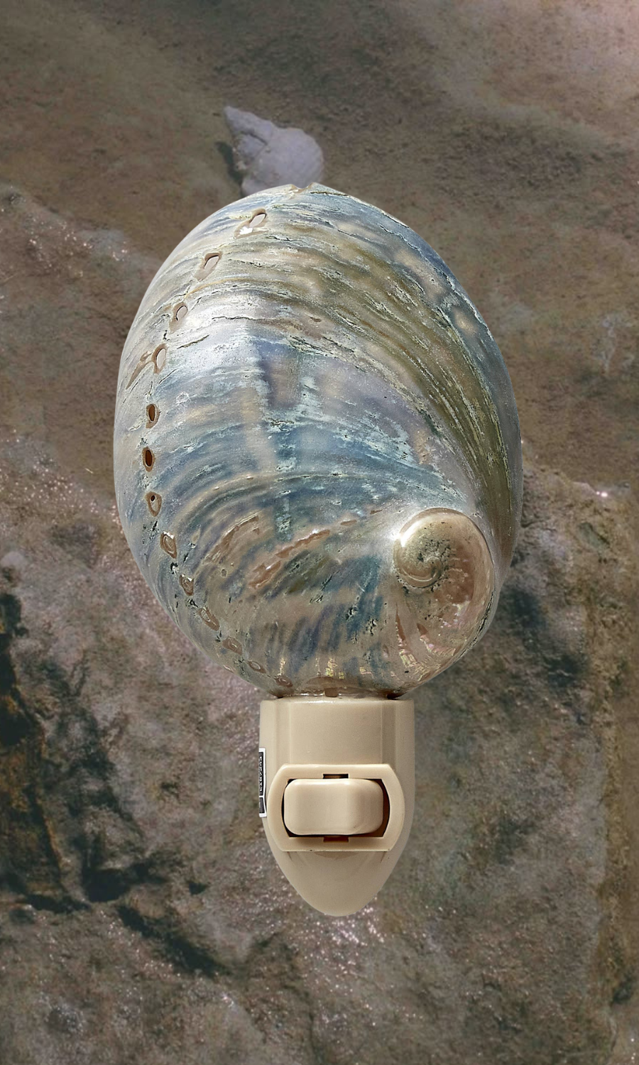 HS Seashells Blue / FINAL SALE Polished Greenlip Abalone Night Light